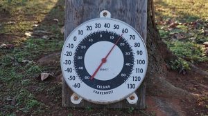 Temperatur im Gewächshaus